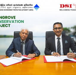 DSI Samson Group Partners with MEPA to Strengthen Sri Lanka’s Coastal Resilience Through Mangrove Restoration