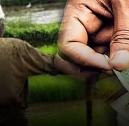 Term limit extended for agricultural pension