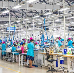 Sri Lanka’s apparel sector records 5.42% growth for January-November 2025: November slight dip