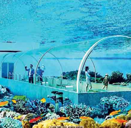 Colombo Dockyard’s march towards Maldivian leisure industry