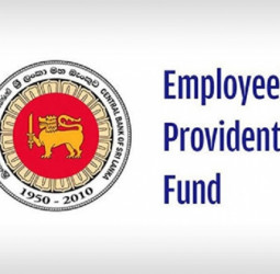 Digitalisation: Online EPF registration commences