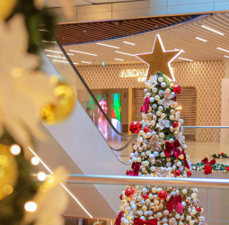 A New Level Unlocked at The Shoppes