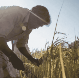 Retirement aid: Term limit extended for agricultural pension