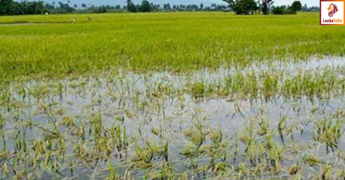 Restoration of canals damaged due to floods caused by Cyclone Ditwah underway