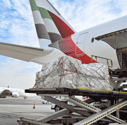 Emirates and Dubai Humanitarian launch airbridge to Sri Lanka to transport urgent relief aid