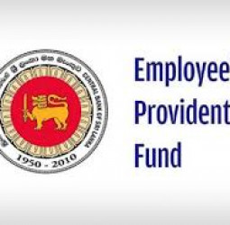 Digitalisation: Online EPF registration commences