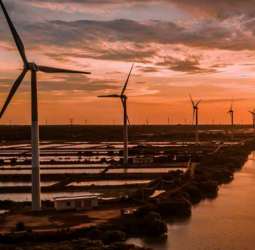 Two 50MW Mannar Wind Projects Go to Vidullanka–DPMC Consortium and WindForce PLC