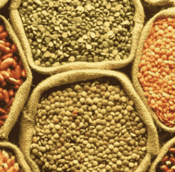 Essential food commodities confirmed sufficient for upcoming festive season