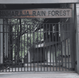 Sinharaja Forest Kudawa entrance closed for New Year holidays