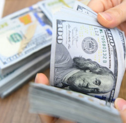 Dollar rate today : Selling rate unchanged at Rs. 318.