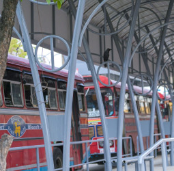 Sri Lanka state bus service earns Rs1bn as rail remains unrepaired during key holiday