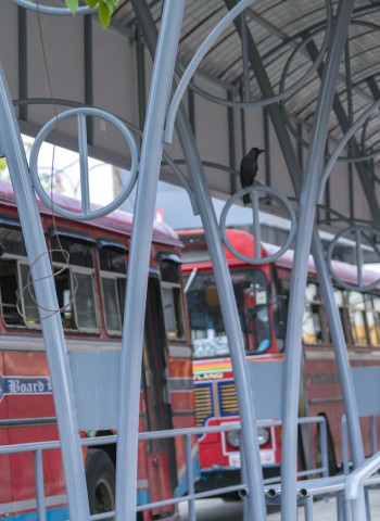 Sri Lanka state bus service earns Rs1bn as rail remains unrepaired during key holiday