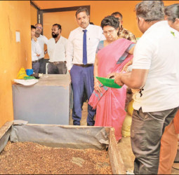 Black Soldier to provide speedy solution for garbage management