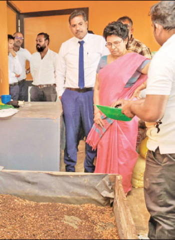 Black Soldier to provide speedy solution for garbage management