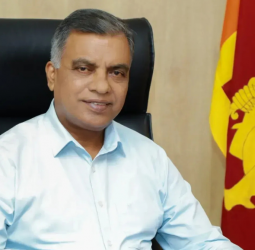 Food security: High-yield seeds to be grown under special conditions