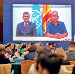 Asia-Pacific Ministers push food security, resilience amid global shocks at FAO meet