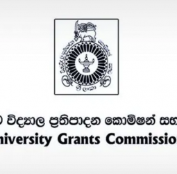 University entrance handbook to be released at midnight tonight