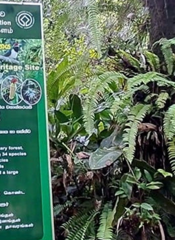 Kudawa entrance to Sinharaja Reserve closed for six days