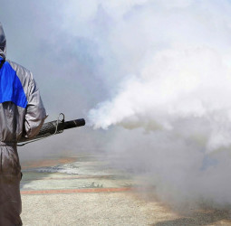 Exterminators PLC calls for urgent shift from fogging to sustainable mosquito control as dengue risk rises