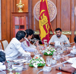 TPA MPs meet President to discuss Malayagam community issues