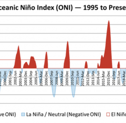 Powering through Droughts and Crises: Redesigning Sri Lanka’s Energy Resilience