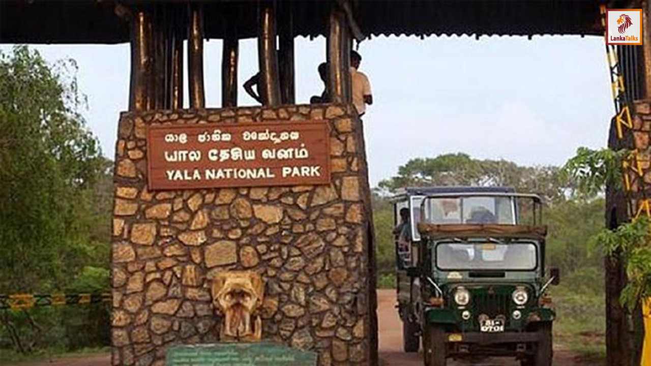 Sri Lanka’s Yala National Park Featured in Agoda’s Top Asian Jungle Safari List