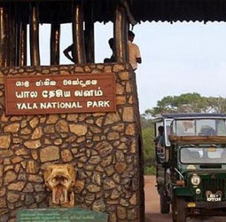 Sri Lanka’s Yala National Park Featured in Agoda’s Top Asian Jungle Safari List