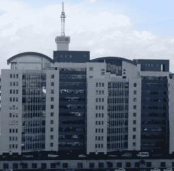 Customs records Rs. 743 b revenue ahead of New Year