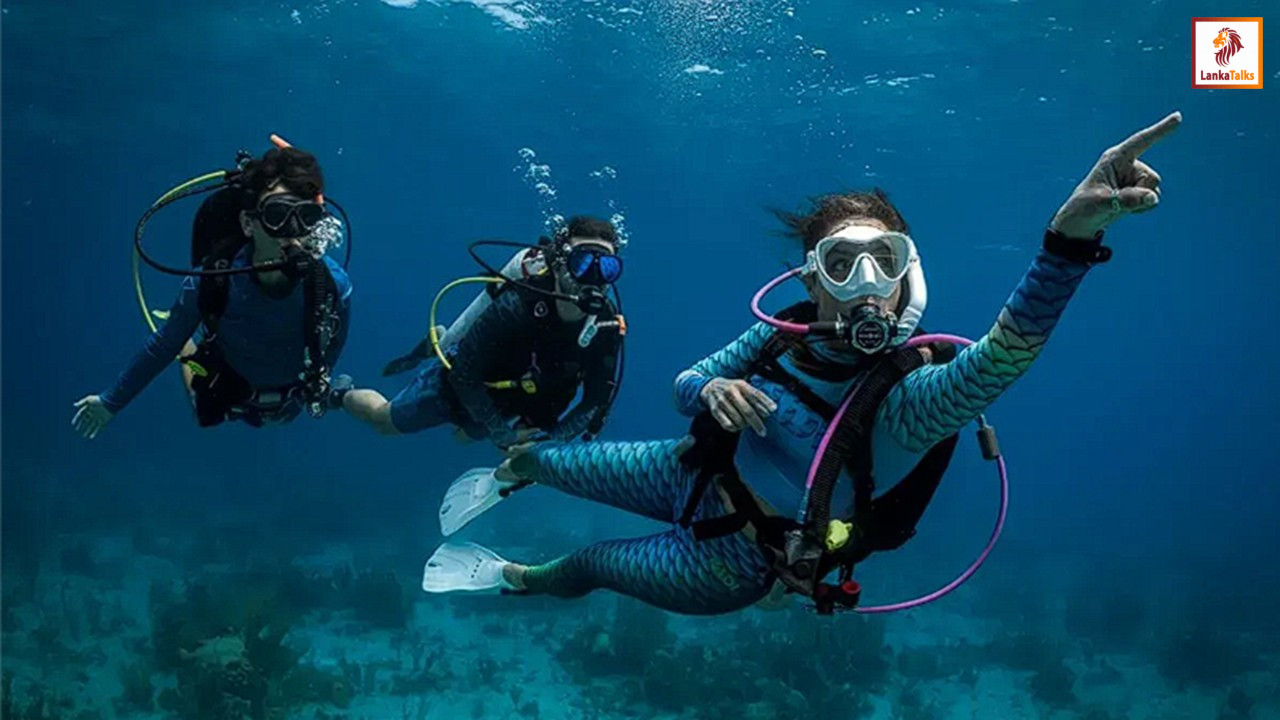 Agrarian Insurance Board introduces dedicated insurance scheme for divers