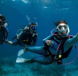 Agrarian Insurance Board introduces dedicated insurance scheme for divers
