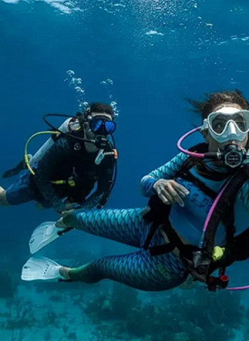 Agrarian Insurance Board introduces dedicated insurance scheme for divers