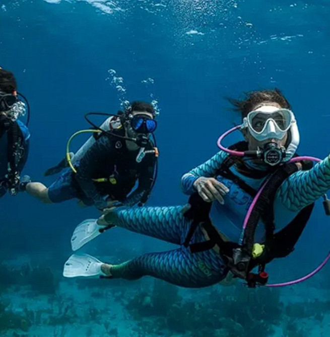 Agrarian Insurance Board introduces dedicated insurance scheme for divers