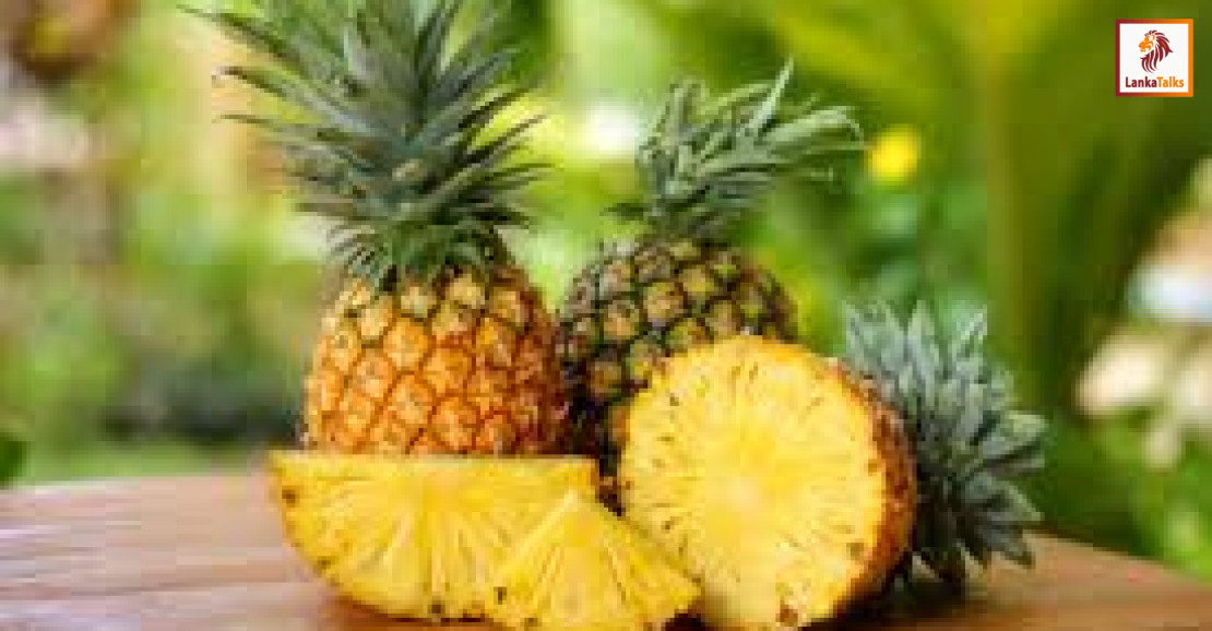 SL moves to secure GI status for Ceylon golden pineapple