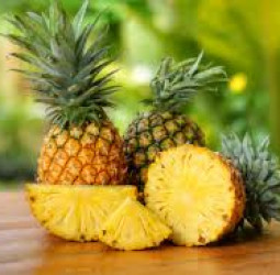 SL moves to secure GI status for Ceylon golden pineapple