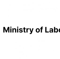 Construction sector: Labour Ministry to regulate immigrant workers
