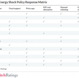 Energy subsidies, relief packages trade quick fixes for long-term debt risk: Fitch