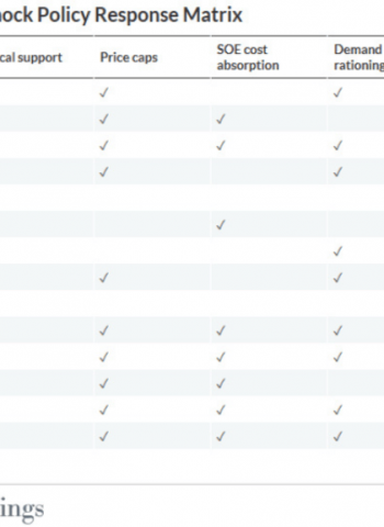 Energy subsidies, relief packages trade quick fixes for long-term debt risk: Fitch
