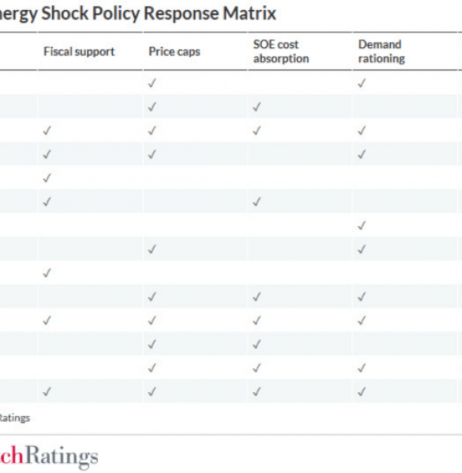 Energy subsidies, relief packages trade quick fixes for long-term debt risk: Fitch
