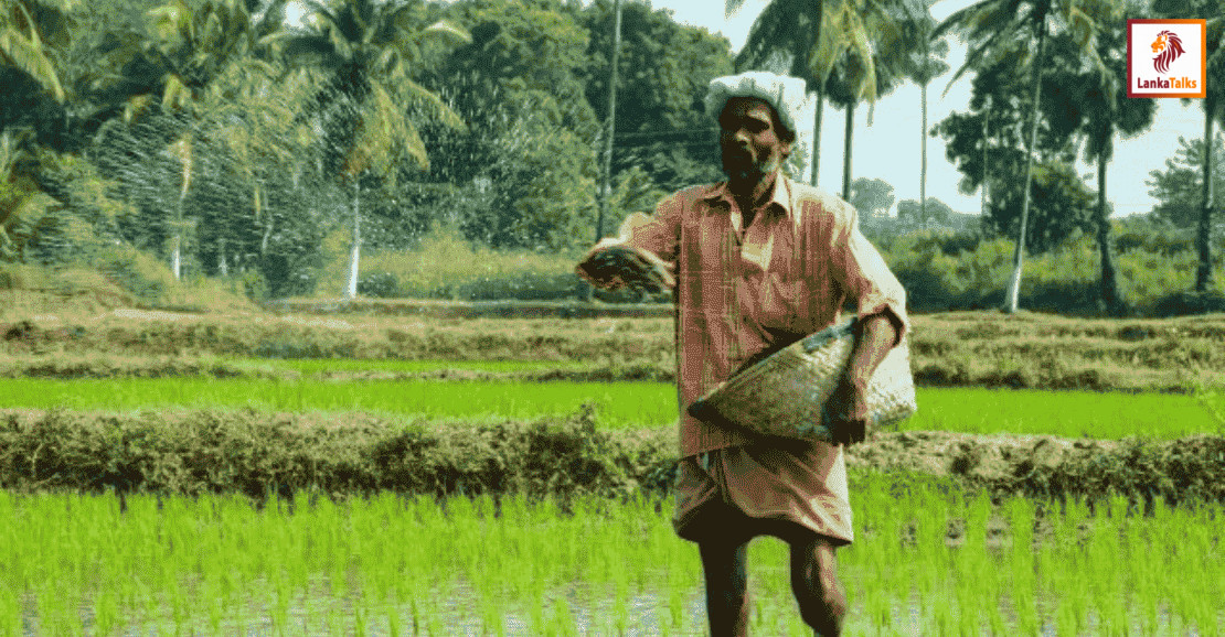 Agri service centres open on weekends for Yala season