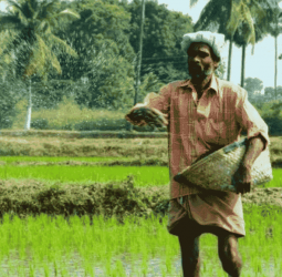 Agri service centres open on weekends for Yala season