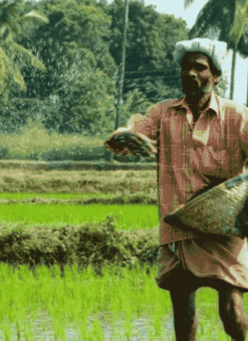 Agri service centres open on weekends for Yala season