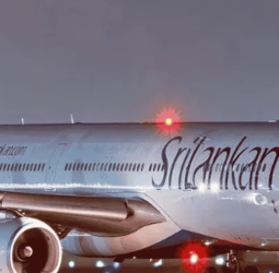 From airlines to electricity: The cost of ignoring markets