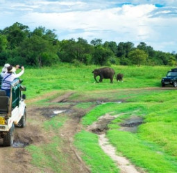 Why Sri Lanka Is the World’s Safest and Most Complete Tourism Destination in 2026