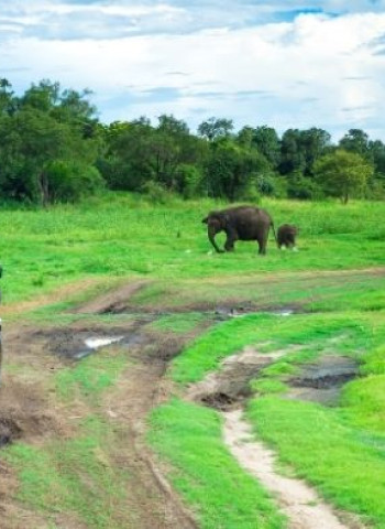 Why Sri Lanka Is the World’s Safest and Most Complete Tourism Destination in 2026