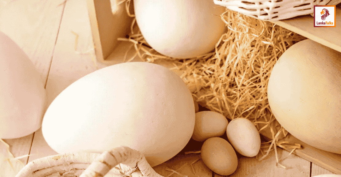 The festivity of Easter