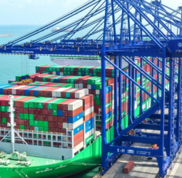 Trade: Exports record 5.2% y-o-y decline