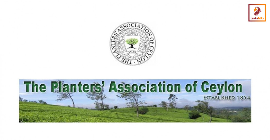 Tea smallholdings: Planters reject subsidy, seek cheaper fertiliser