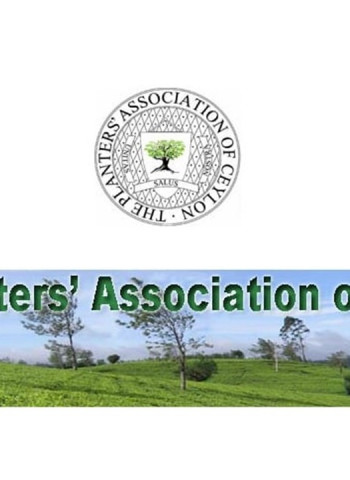 Tea smallholdings: Planters reject subsidy, seek cheaper fertiliser