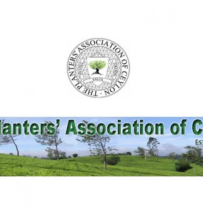 Tea smallholdings: Planters reject subsidy, seek cheaper fertiliser