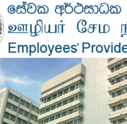 EPF assets rise 13% to Rs. 4.94 t in 2025